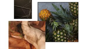 Ananas, kombuha, kafa – od čega je danas napravljena eko-koža