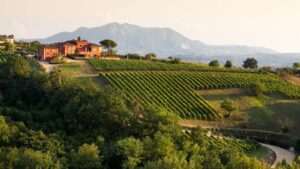 Najlepše vinarije u Italiji koje treba posetiti bar jednom u životu
