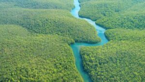 Pobegnite u amazonske prašume bez napuštanja sofe