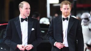 Prinčevi William i Harry dele prihod Fonda princeze Diane