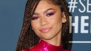 Svi pričaju o performansu koji je Zendaya izvela na Coachella festivalu