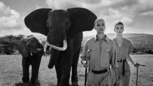 Walk For Giants – capsule kolekcija koja ima cilj da spasi slonove