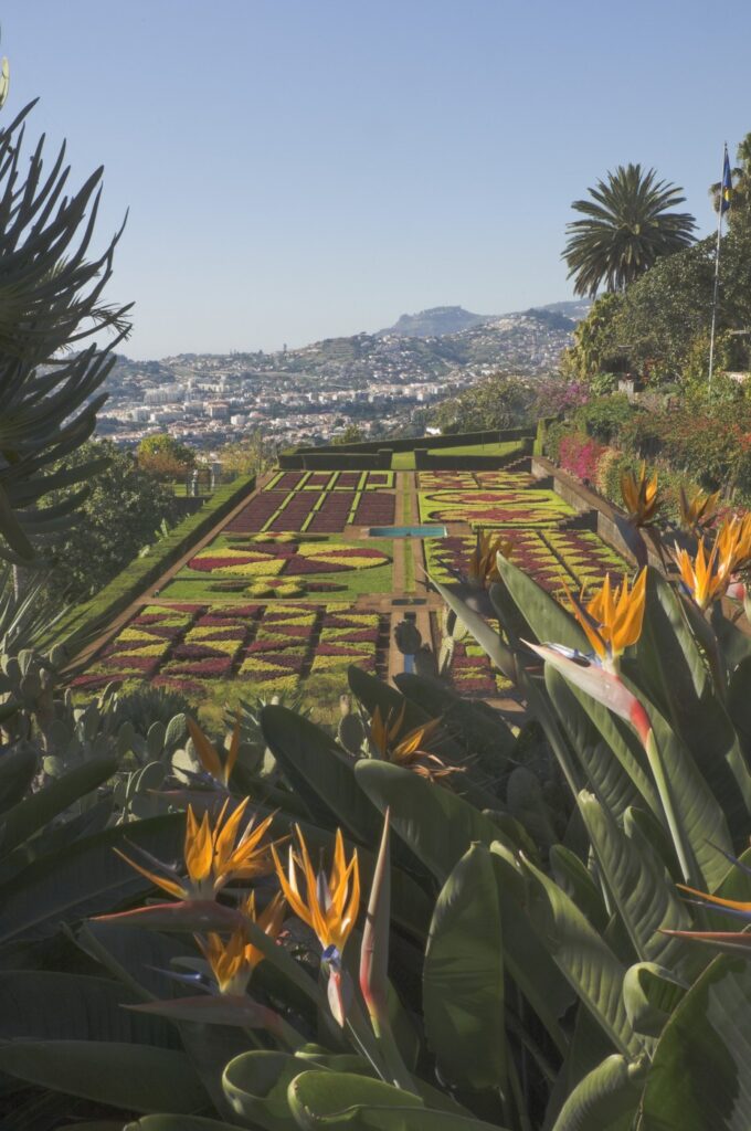 Madeira: Skriveni biser Atlantika
funchal botanicka basta