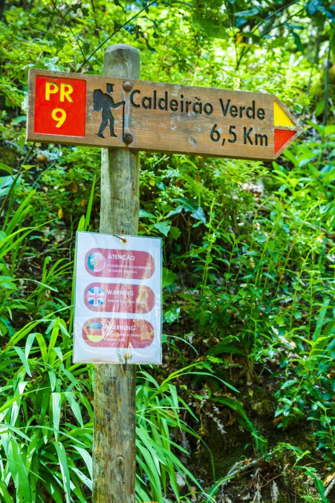 Madeira: Skriveni biser Atlantika
drevne levade knalai i staze