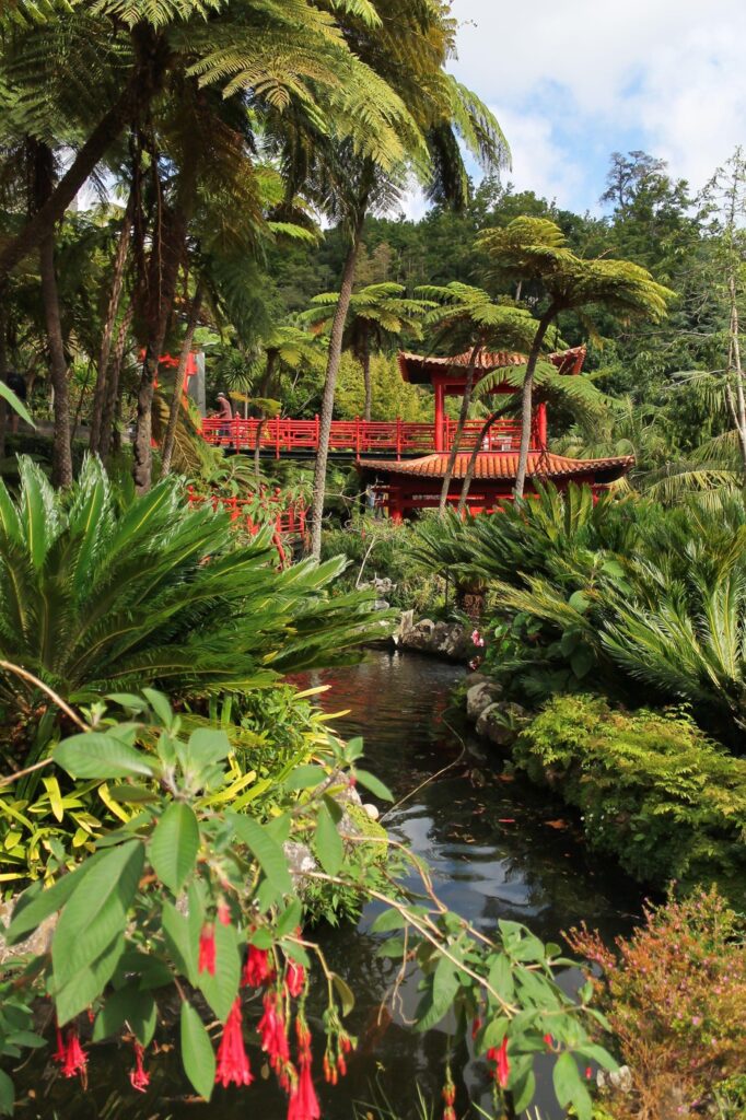 Madeira: Skriveni biser Atlantika
funchal botanicka basta