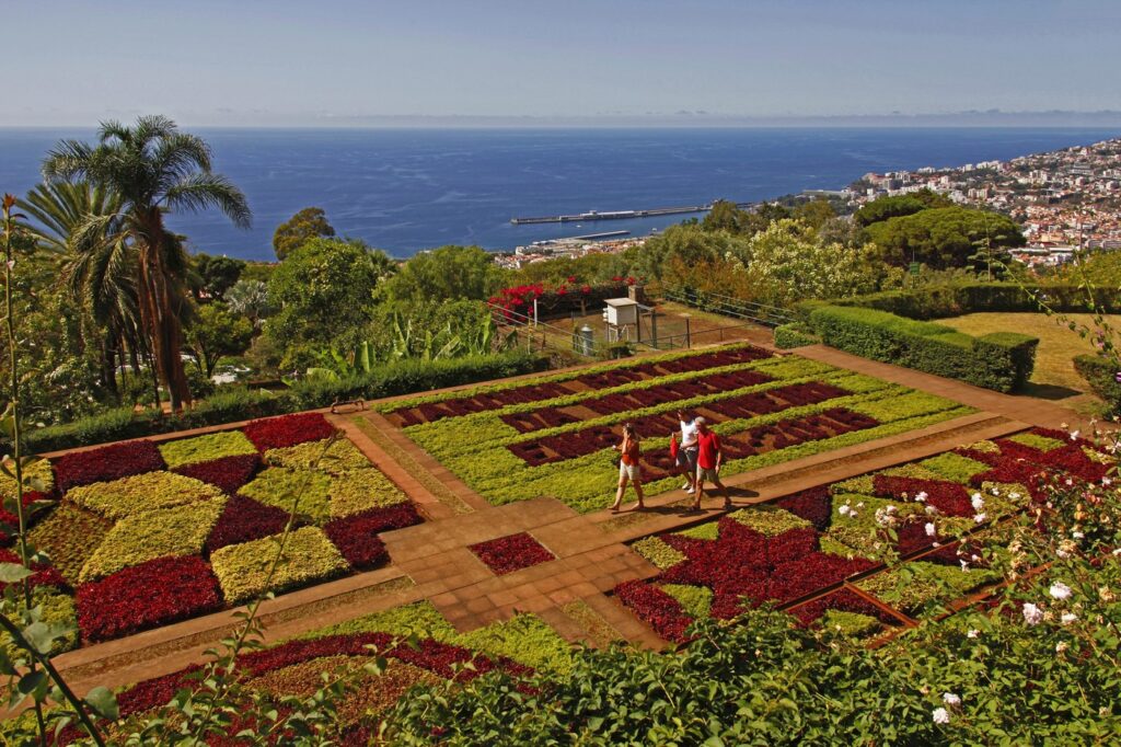 Madeira: Skriveni biser Atlantika
funchal botanicka basta
