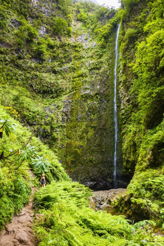 Madeira: Skriveni biser Atlantika
drevne levade knalai i staze
