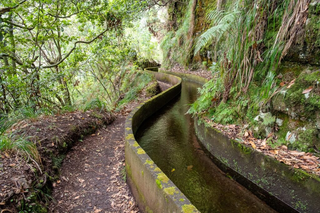 Madeira: Skriveni biser Atlantika
drevne levade knalai i staze