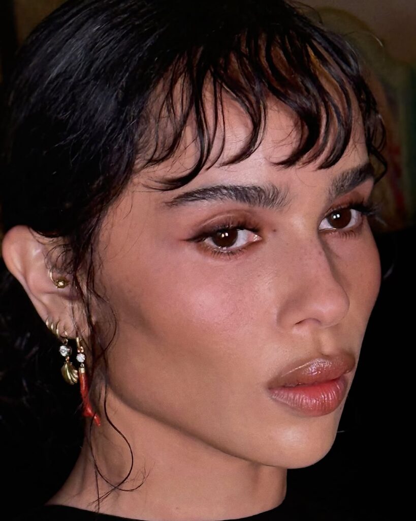 6 najlepših makeup trendova za leto 2025.
browlick obrve zoe kravitz