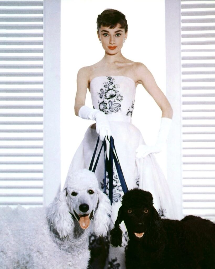 Sabrina (1954)
11 filmskih kostima koji su promenili modni narativ