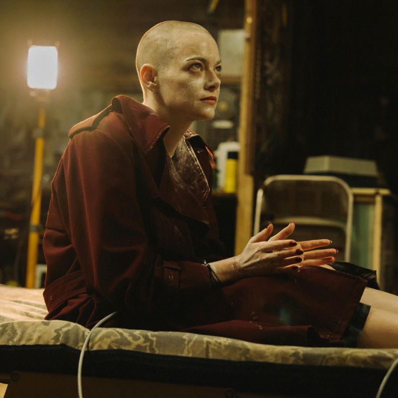 Objašnjenje završetka filma Bugonia