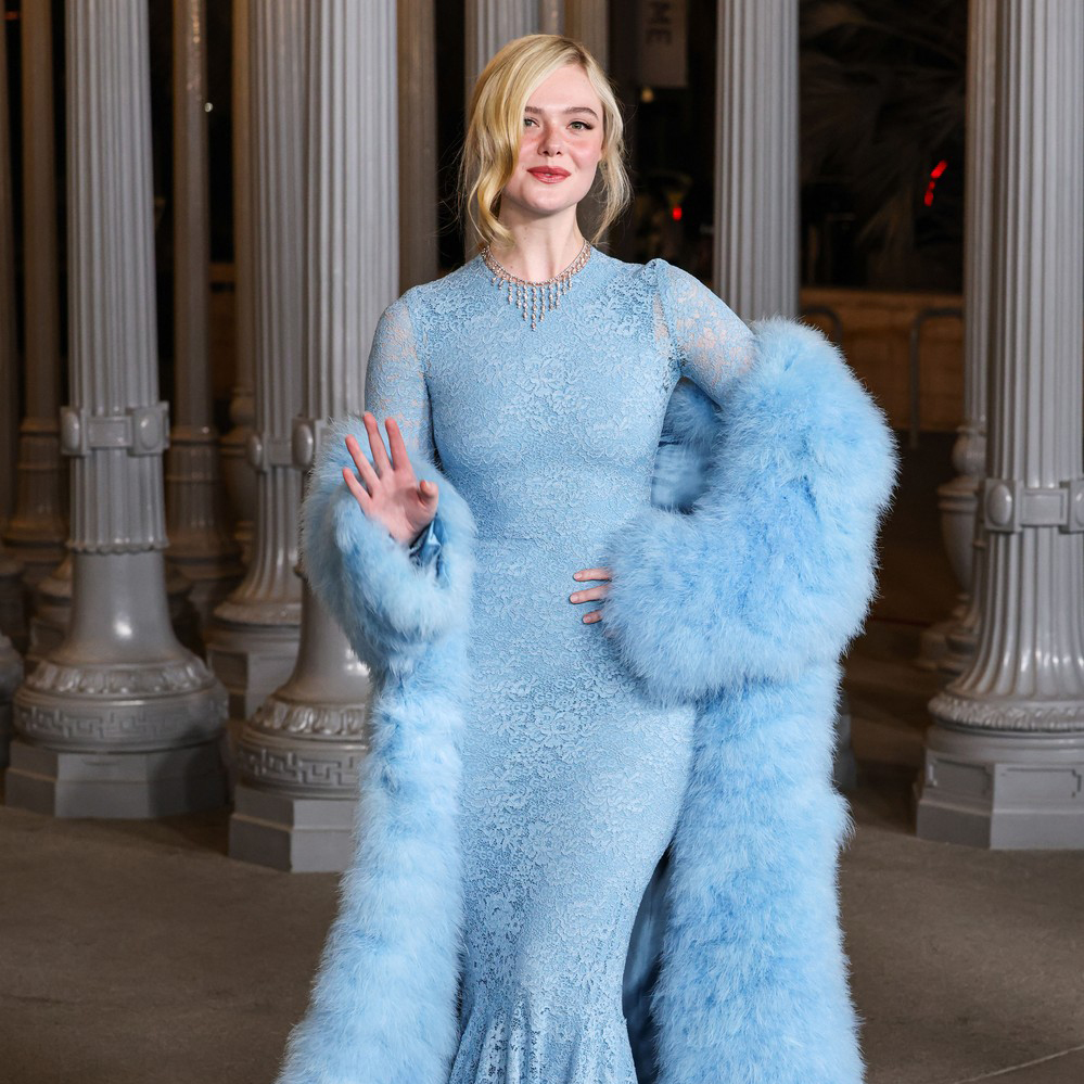 11 poznatih koji su zablistali na LACMA Gala 2025