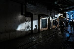 Novembarska agenda kulture i stila