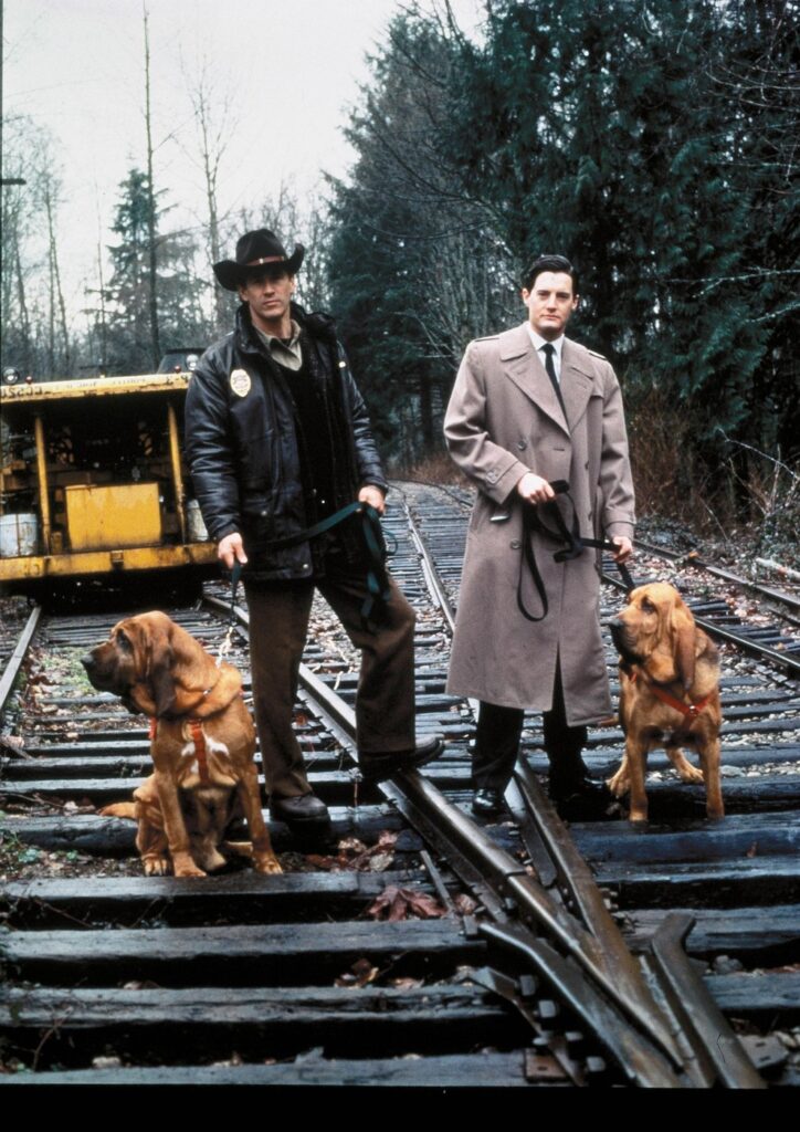 Šta gledati posle Stranger Things Serije koje popunjavaju prazninu