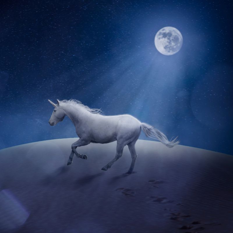 Chinese New Year 2026: Šta godina Vatrenog Konja znači za vaš horoskopski znak