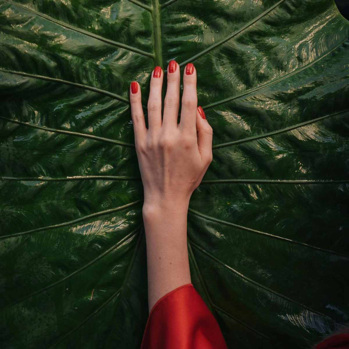 Da li lak za nokte zaista može biti netoksičan (2) kako izabrati sigurniju formulu za negu i zdravlje noktiju