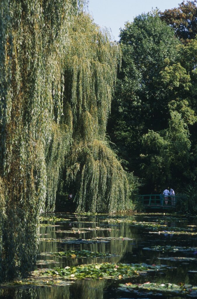 Giverny: Mesto gde je Claude Monet naslikao sopstveni svet