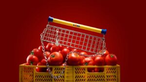 Trolley Bag Kolica koja želite u svakoj kombinaciji