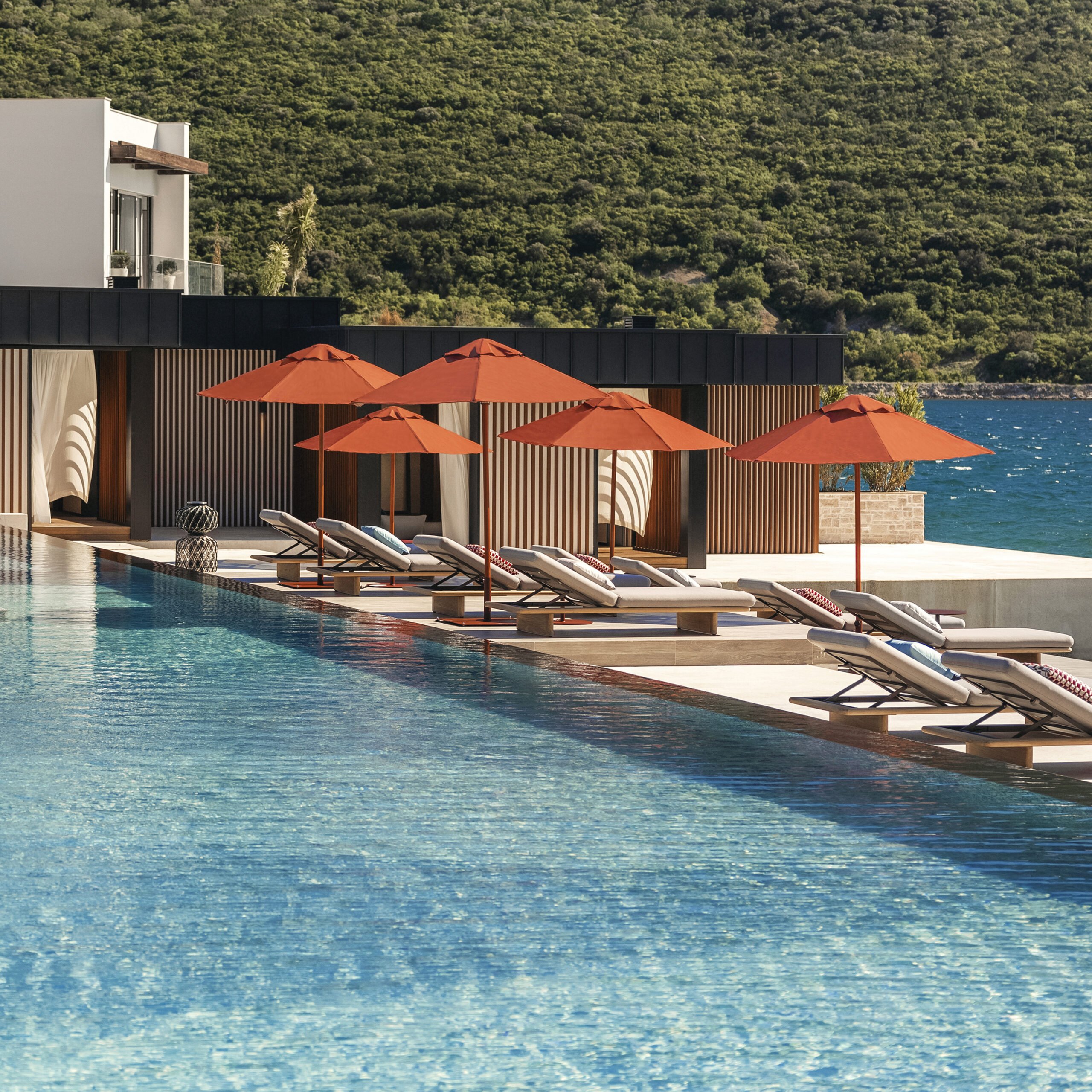 Leto definisano jednom rečju — TAPASAKE