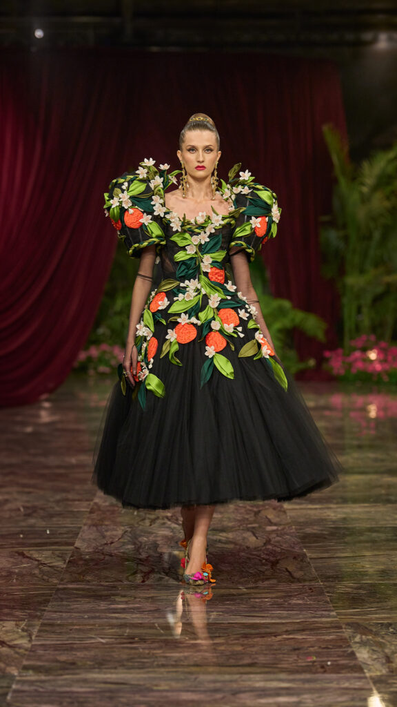 dolce gabbana alta moda 2026